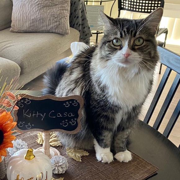 Meet your Posher, Lisa - Picture 1 of 1